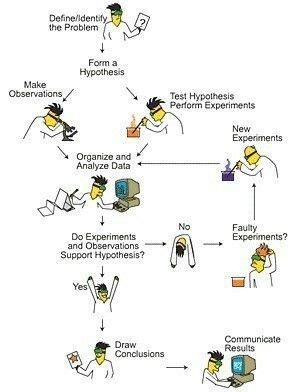 Pin By Gary Ottosen On Infographics Diagrams Scientific Method For