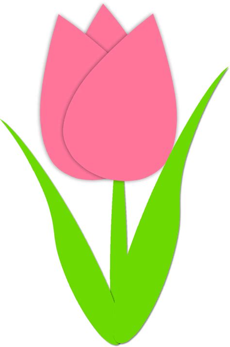 Pink And Yellow Tulip Clip Art Clipart Free Download Clipartix
