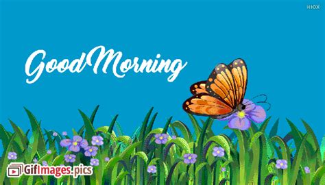 20 Beautiful Good Morning Butterfly Animated  Images
