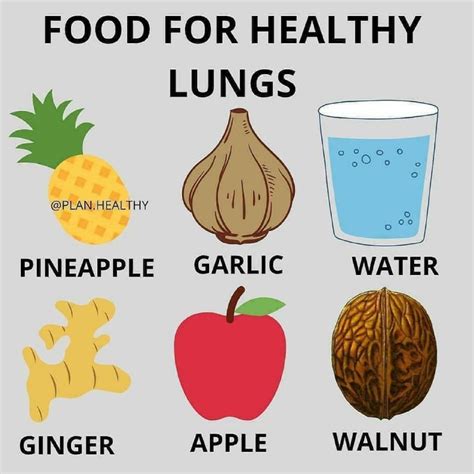 Food For Healthy Lungs Health Tips Food Pyramid