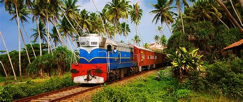 A Guide To Sri Lankan Trains Pulse