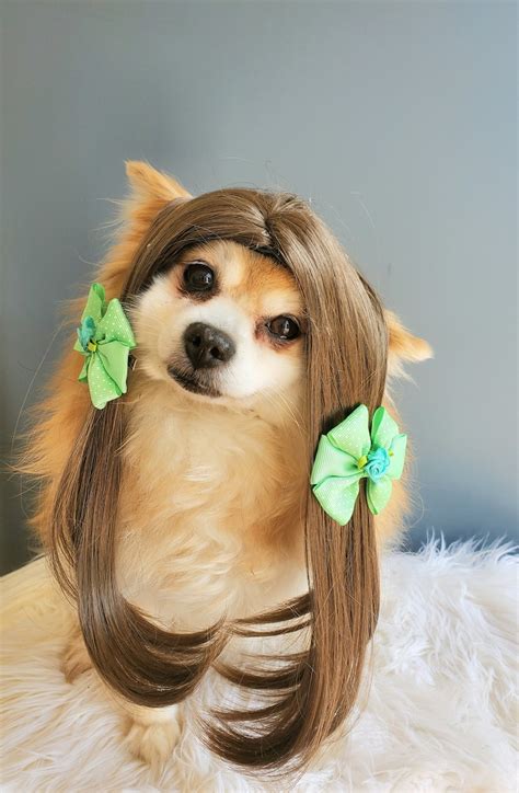 Pet Wig For Dog Or Cat With Cute Bow Green Color Etsy