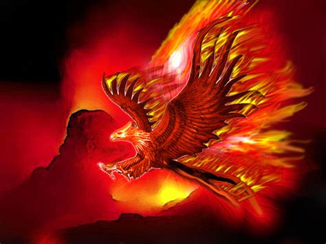Real phoenix bird phoenix dragon phoenix bird tattoos phoenix artwork phoenix images magical creatures fantasy creatures flame art mythological creatures. images of fire phoenix - Google Search | Phoenix images ...