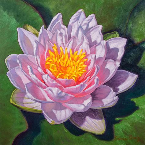 Water Lily Study 1 Painting By Fiona Craig Pixels