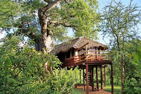 Explore Elewana Collections Tarangire Treetops Discover Africa Safaris