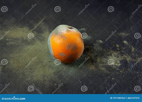 Rotten Spoiled Orange Moldy Citrus Fruit On A Dark Stone Background