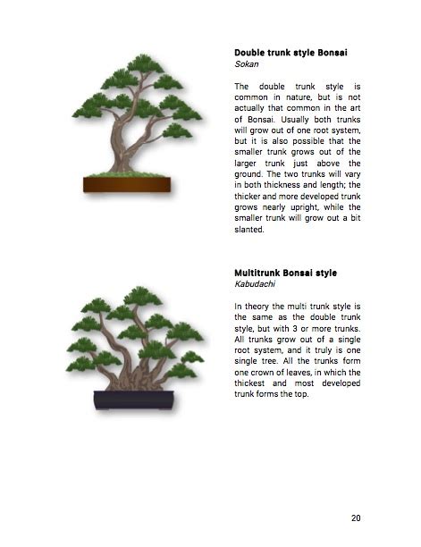 Focusing on styling bonsai, showing member's trees, bonsai care and general help. Recommended Bonsai books - Bonsai Empire