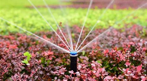 Making The Switch To High Efficiency Sprinkler Heads Colorado Builder