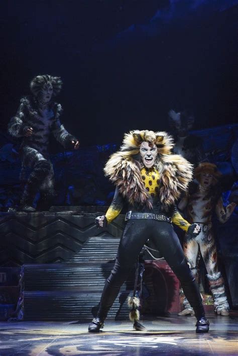 London palladium 2014 2015 cats musical wiki fandom powered. Show Photos: Cats | Cats the musical costume, Broadway ...