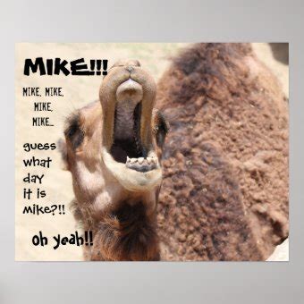 Funny Camel Hump Day Guess What Day It Is MIKE Poster Zazzle