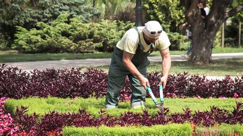 Why Should I Use Professional Landscapers Crowning Touch Landscaping