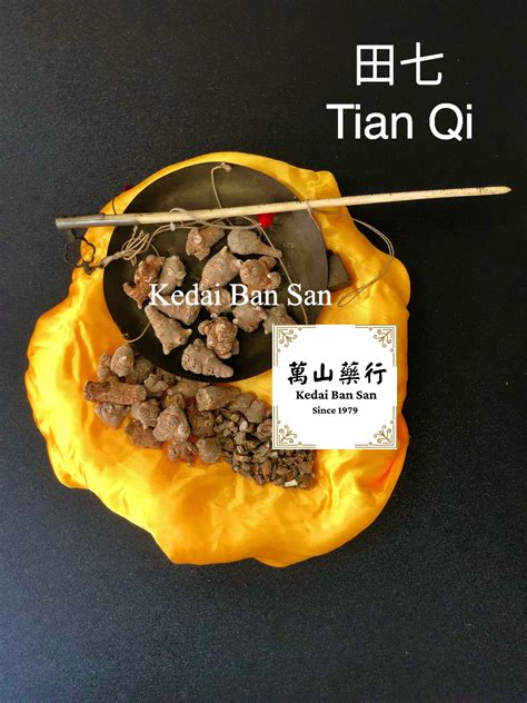 Tian Qi Notoginseng Radix Et Rhizoma 田七 100g Lazada