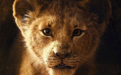 [watch] Disney Releases First Lion King Trailer