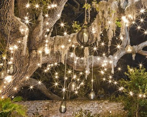 Make your backyard a twinkly retreat with some quick and simple ideas using string lights! Tree twinkle lights | Outdoor garden lighting, Backyard ...