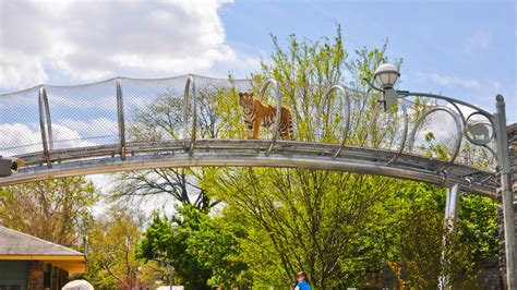 Philadelphia Zoo — Visit Philadelphia