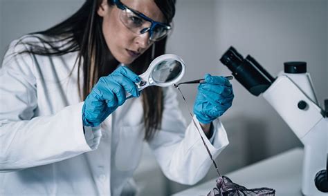 O Que é Enfermagem Forense
