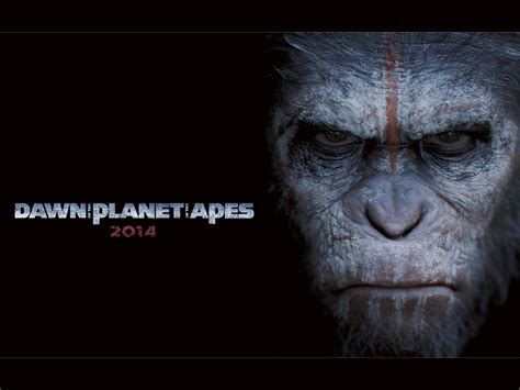 Dawn Of The Planet Of The Apes Hq Movie Wallpapers Dawn Of The Planet