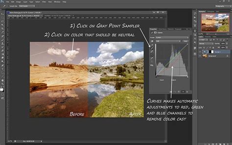 5 Things You Didnt Know About Curves Photoshop Editing Tutorials