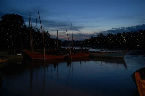 Moreover, there has been opinion that magical fireflies are only available at 2 places in the world and one of it is in kampung kuantan. Yuk Melancong Ke Kampung Kelip-kelip Kuantan Bestari Jaya ...