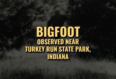 Bigfoot Spotted In Indiana
