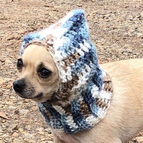 Instant Download Crochet Pattern Bundle Dog Beanies Small Etsy Dog
