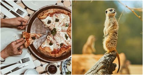 If you don't have an account, you can create one here. The Best Places To Spend Your NSW Dine & Discover Vouchers
