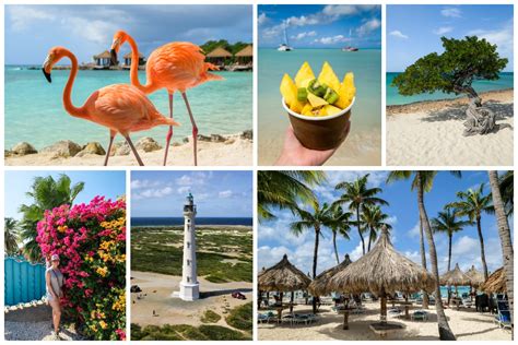 17 Best Things To Do In Aruba Island Fun Kids Couples July Dreamer