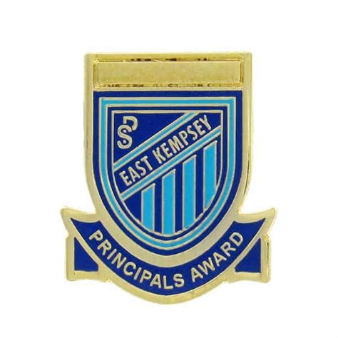 Custom Metal Pins Badges Schools Primary Secondary Tertiary Staff