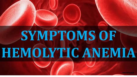 Symptoms Of Hemolytic Anemia Youtube