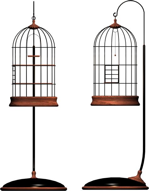 Cage Bird Png