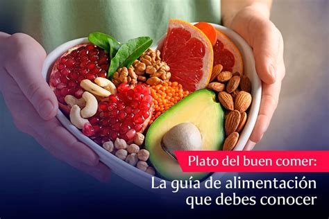 El Plato Del Buen Comer La Guía De Alimentación Que Debes Conocer