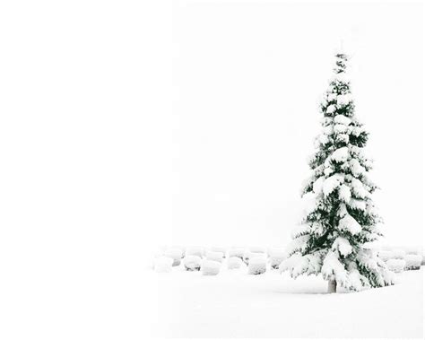 Snowy Christmas Backgrounds Wallpaper Cave
