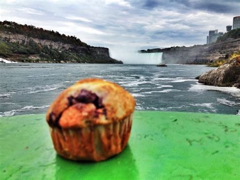 One Guest Liked Our Blueberry Muffins So Much He Took One To Niagara