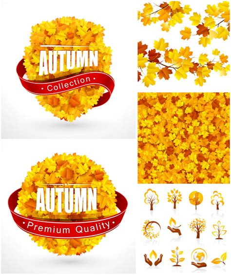 Autumn Label Backgrounds Icons Vector Free Download Clipart
