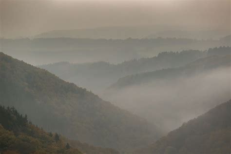 Free Photo Foggy Landscape