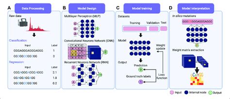 Schematic Overview Of Deep Learning Workflow A Data Processing