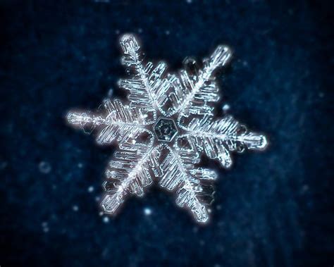 Simply Beautiful Snowflakes Snow Crystal Macro Photography