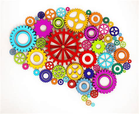 14500 Brain Gears Stock Photos Pictures And Royalty Free Images Istock