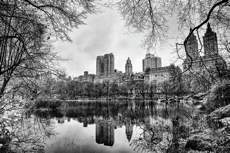 Central Park Nyc Photograph By Afton Almaraz Fine Art America