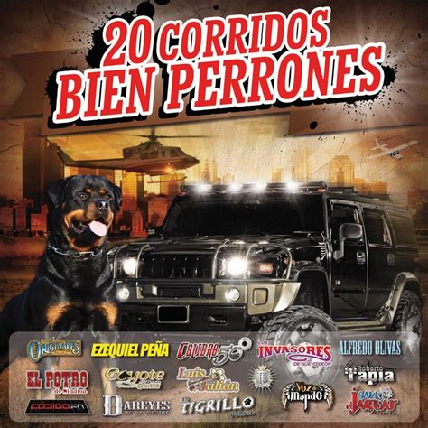 20 Corridos Bien Perrones Cd Best Buy