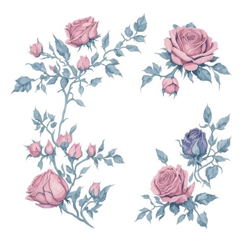 Lindo Conjunto De Ilustrações Florais Em Aquarela Rosa Rosa Vetor Premium