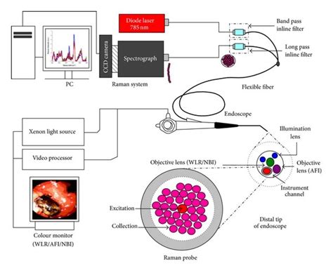 Schematic Presentation Of Raman Spectroscopy Instrument When