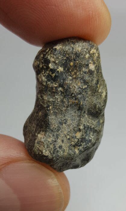 Meteorite Nwa 14131 Hed Eucrite 93 G 1 Catawiki