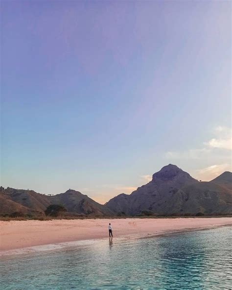 Wisata Pantai Pink Labuan Bajo Lokasi Rute Harga Aktivitas Serunya