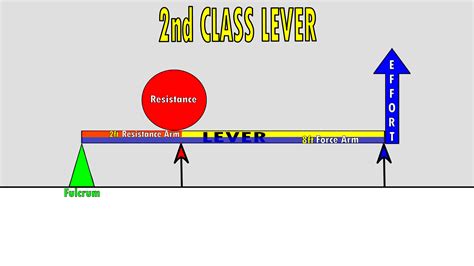 The 3 Classes Of Levers