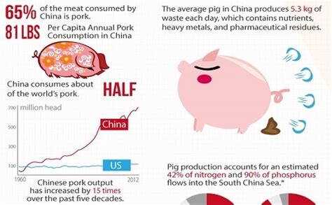 Therefore, a relatively small shortage in china can cause a large increase in the demand. Infographic: China's pig footprint | China Dialogue