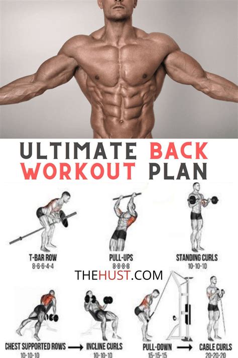 Best Best Back Exercises For Strength And Power For Beginner Best Workout Machine