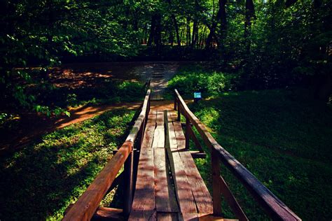 Free Images Landscape Tree Water Nature Forest Path Pathway