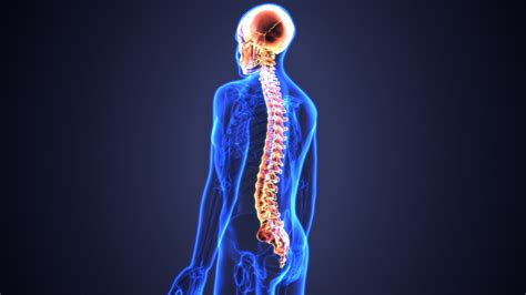 The Best Chiropractic Care Tips For Optimal Spine Health
