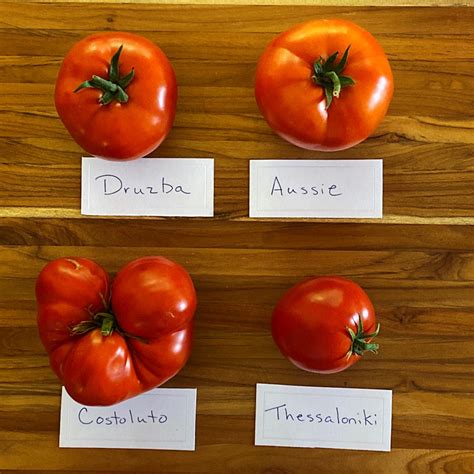 Best Tasting Heirloom Tomatoes By Color Farm To Jar Food